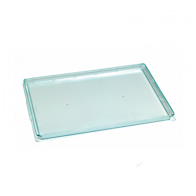 Plateau repas en plastique vert transparent de notre vaisselle jetable pour  traiteur.